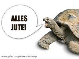 10561642_669679906480760_773024206952047001_n