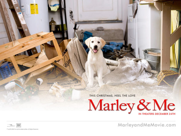 marley-me-marley-and-me-13563708-1600-1200